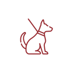 Ter Hooge – Iconen